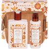 BACCHE FIORI LEGNI BEAUTY POCHETTE LEGNO DI CEDRO BAGNOSCHIUMA 250 ML + DEODORANTE 100 ML EDIZIONE LIMITATA - farmachicca