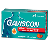 GAVISCON*24CPR FRAG250+133,5MG - farmachicca