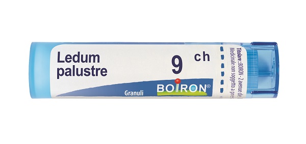 LEDUM PALUSTRE 9 CH GRANULI 4G - farmachicca