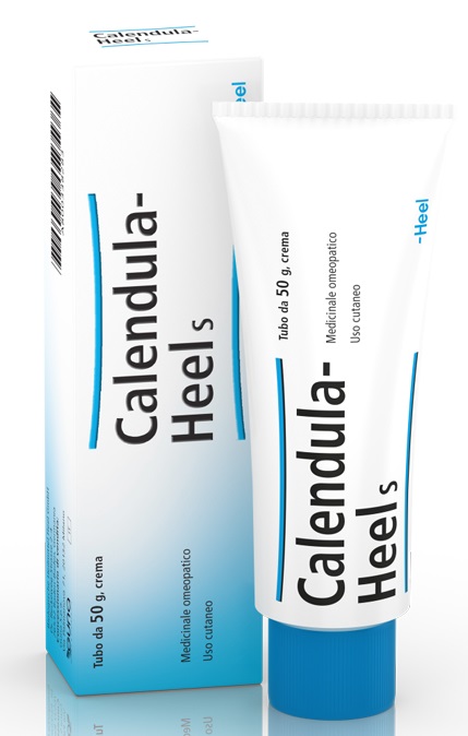 HEEL CALENDULA SALBE POMATA M 50 G - farmachicca