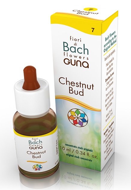 CHESTNUT BUD GOCCE 10 ML - farmachicca