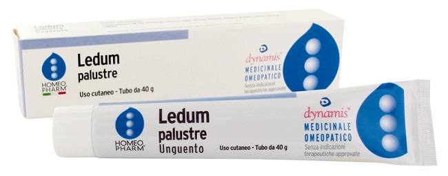 LEDUM PALUSTRE HOMEOPHARM UNGUENTO 40 G - farmachicca