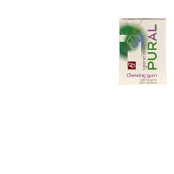 PURAL CHEWING GUM 14 G IGIENIZZANTE - farmachicca