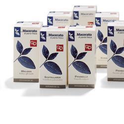TARASSACO TINTURA MADRE 100 ML - farmachicca