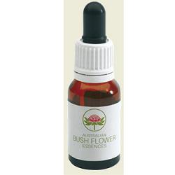 GREY SPIDER FLOWER AUSTR 15ML - farmachicca
