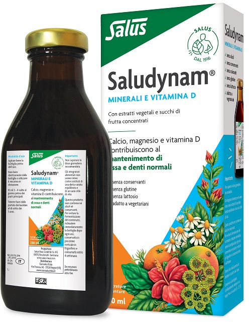 SALUDYNAM 250 ML - farmachicca
