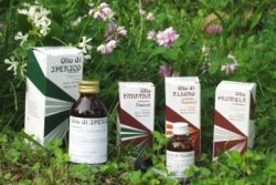 RAEMIL ROSMARINO OLIO 25 ML - farmachicca