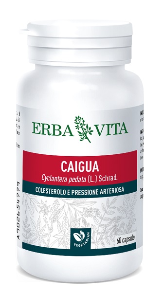 CAIGUA 60 CAPSULE 400 MG - farmachicca