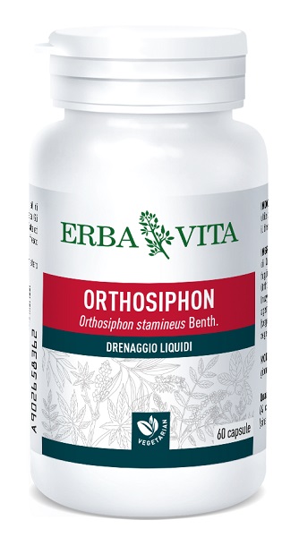 ORTOSIPHON 60 CAPSULE 400 MG - farmachicca