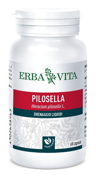 PILOSELLA 60 CAPSULE 400 MG - farmachicca