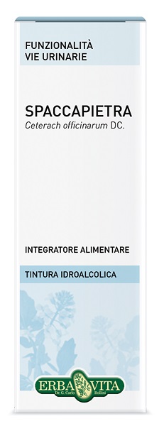 SPACCAPIETRA TINTURA IDROALCOLICA 50 ML EBV - farmachicca