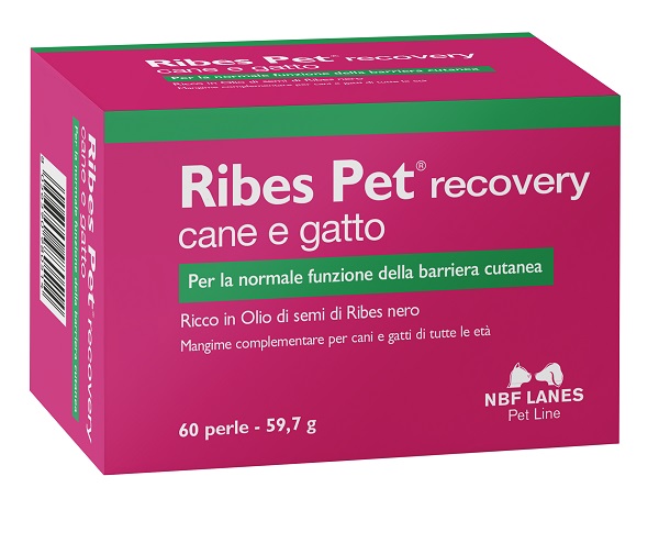 RIBES PET RECOVERY BLISTER 60 PERLE - farmachicca