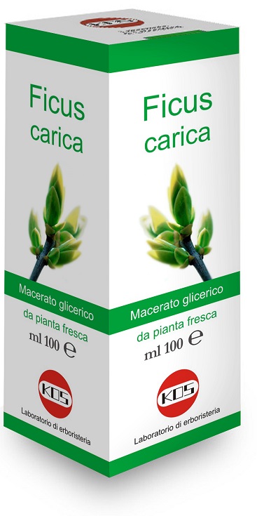FICUS CARICA MG 100 ML GOCCE - farmachicca