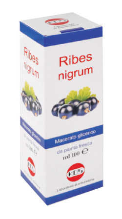 RIBES NIGRUM MG 100 ML GOCCE - farmachicca