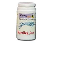 KARTILEG J 60TAV - farmachicca