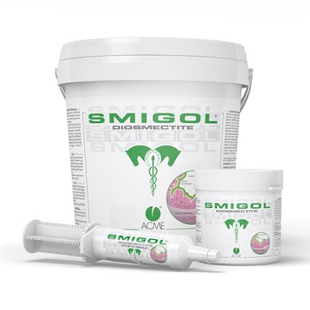 SMIGOL PASTA 1 SIRINGA 100 G - farmachicca