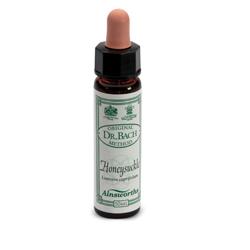 AINSWORTHS HONEYSUCKLE 10ML - farmachicca