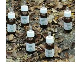 KA PLANTA OLIO MASSAGGIO 30 ML - farmachicca