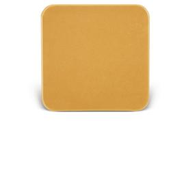 BARRIERA CUTANEA INTERAMENTE IN STOMAHESIVE PER LA PROTEZIONE DELL'AREA PERISTOMALE PLACCA STOMAHESIVE 10X10CM 5 PEZZI - farmachicca