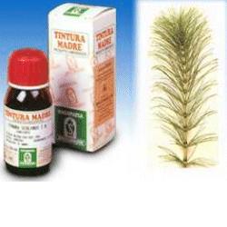 EQUISETO 12 50ML TM - farmachicca