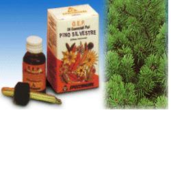 PINO SILVESTRE OLIO ESSENZIALE PURO 10 ML - farmachicca