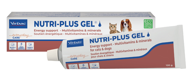 NUTRIPLUS GEL PASTA ORALE 120 G - farmachicca