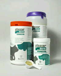 GLAZARDERM FLACONE 500 G - farmachicca