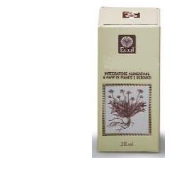 EQUISETO ESTRATTO ANALCOLICO 50 ML ARTICOLO 794 - farmachicca