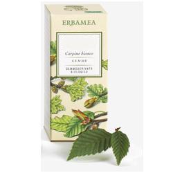 BETULA VERRUCOSA LINFA GEMMODERIVATO BIO 50 ML - farmachicca