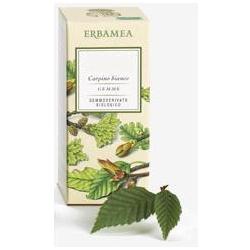 RIBES NIGRUM GEMME GEMMODERIVATO - farmachicca