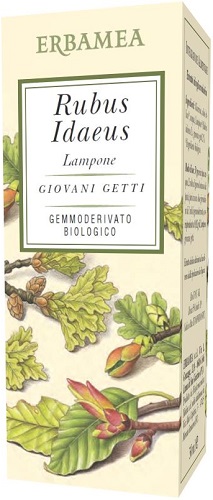 RUBUS IDAEUS LAMPONE BIO 50 ML - farmachicca