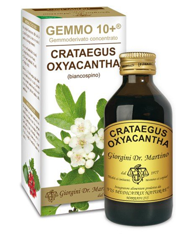 GEMMO 10+ BIANCOSPINO LIQUIDO ANALCOLICO 100 ML - farmachicca