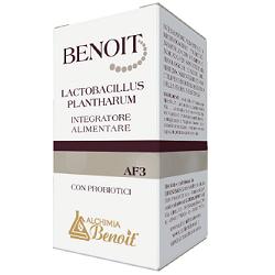 BENOIT LACTOBACILLUS PLANTHARUM 30 CAPSULE - farmachicca