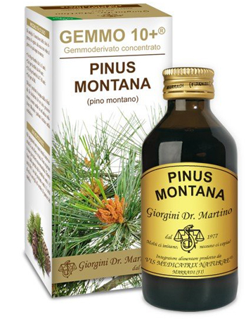 GEMMO 10+ PINO MONTANO 100 ML LIQUIDO ANALCOLICO - farmachicca