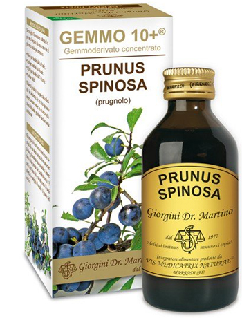 GEMMO 10+ PRUGNOLO 100 ML LIQUIDO ANALCOLICO - farmachicca