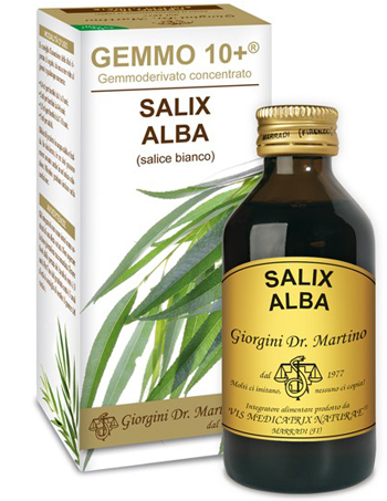 GEMMO 10+ SALICE BIANCO 100 ML LIQUIDO ANALCOLICO - farmachicca