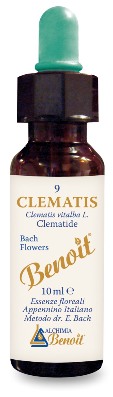 FIORI DI BACH BENOIT CLEMATIS 10 ML - farmachicca