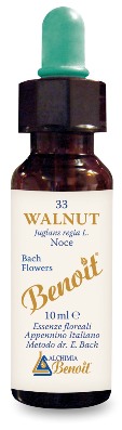 FIORI DI BACH BENOIT WALNUT 10 ML - farmachicca