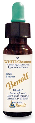 FIORI DI BACH BENOIT WHITE CHESTNUT 10 ML - farmachicca