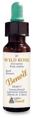 FIORI DI BACH BENOIT WILD ROSE 10 ML - farmachicca