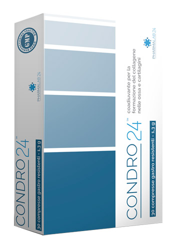 CONDRO24 30 COMPRESSE - farmachicca