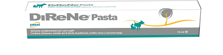 DIRENE PASTA 15 ML - farmachicca