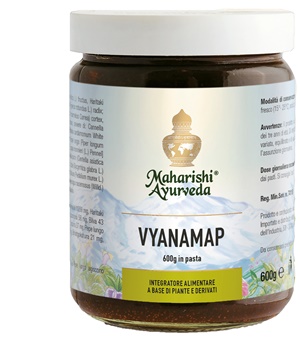 VYANAMAP PASTA 600 G - farmachicca
