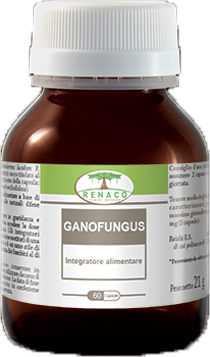 GANOFUNGUS 60 CAPSULE FLACONE 24 G - farmachicca
