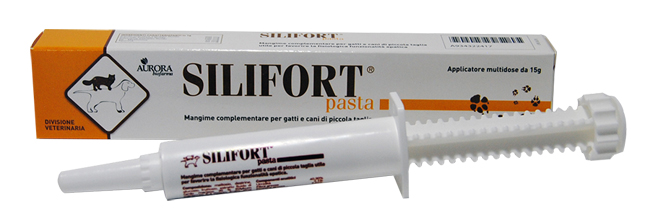 SILIFORT PASTA OS SIRINGA 15 G - farmachicca