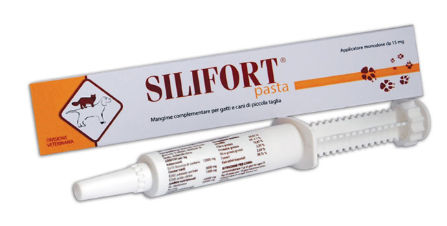 SILIFORT PASTA OS SIRINGA 30 G - farmachicca