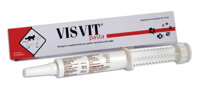 VISVIT PASTA OS SIRINGA 15 G - farmachicca