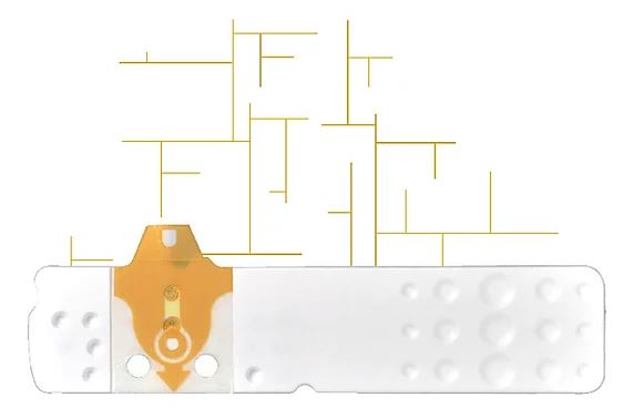 STRISCE MISURAZIONE GLICEMIA LINEA D ORO 25 PEZZI - farmachicca