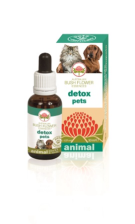 DETOX PETS 30 ML - farmachicca