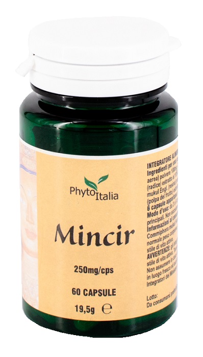 MINCEUR AYURVED 60 CAPSULE - farmachicca